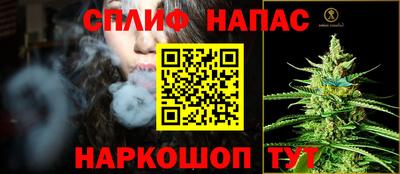 тгк Канаш