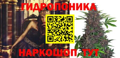 MDMA Premium VHQ Камышлов